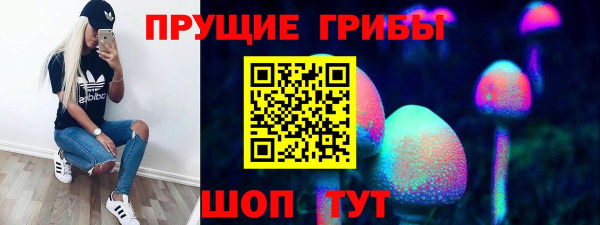 Юрга  Галлюциногенные грибы прущие грибы  Вход с VPN  Псилоцибиновые грибы мухоморы 